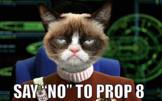 Illustration for article titled 10 Things We Hope George Takei Likes Enough To Share This List